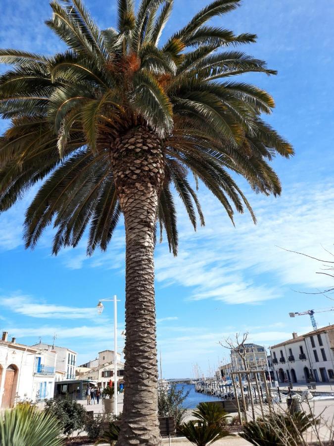 Appartement De Charme Sur Le Port De Marseillan Exteriör bild