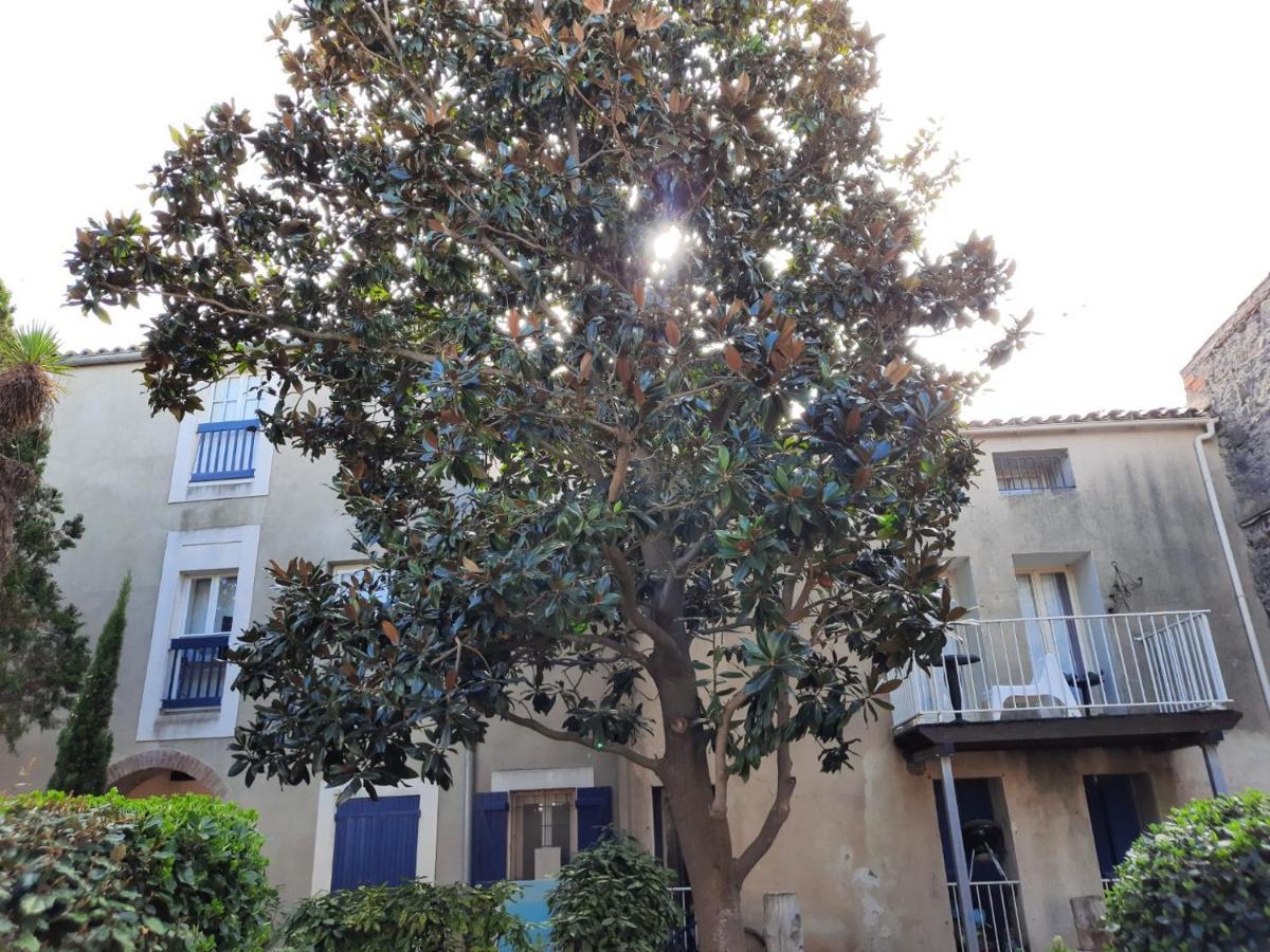 Appartement De Charme Sur Le Port De Marseillan Exteriör bild
